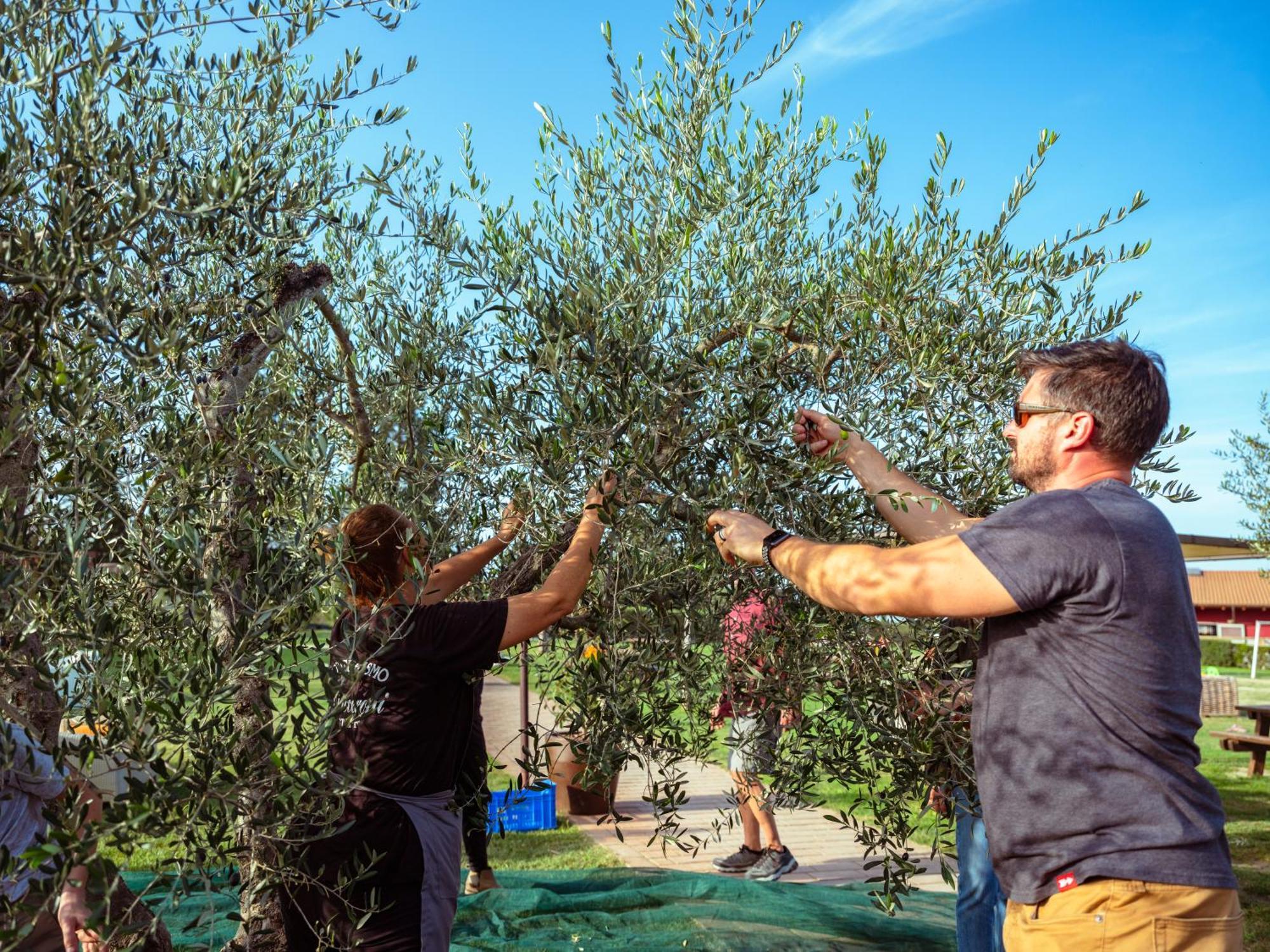 Agriturismo Pompilia Villamagna  Luaran gambar
